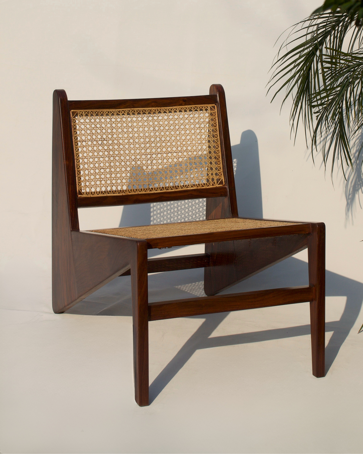 Marsh Cane Collection Cane Collection